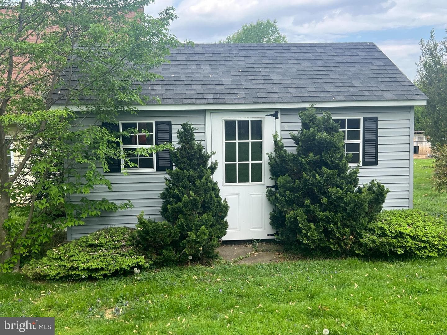 23 Wilson Avenue photo 21