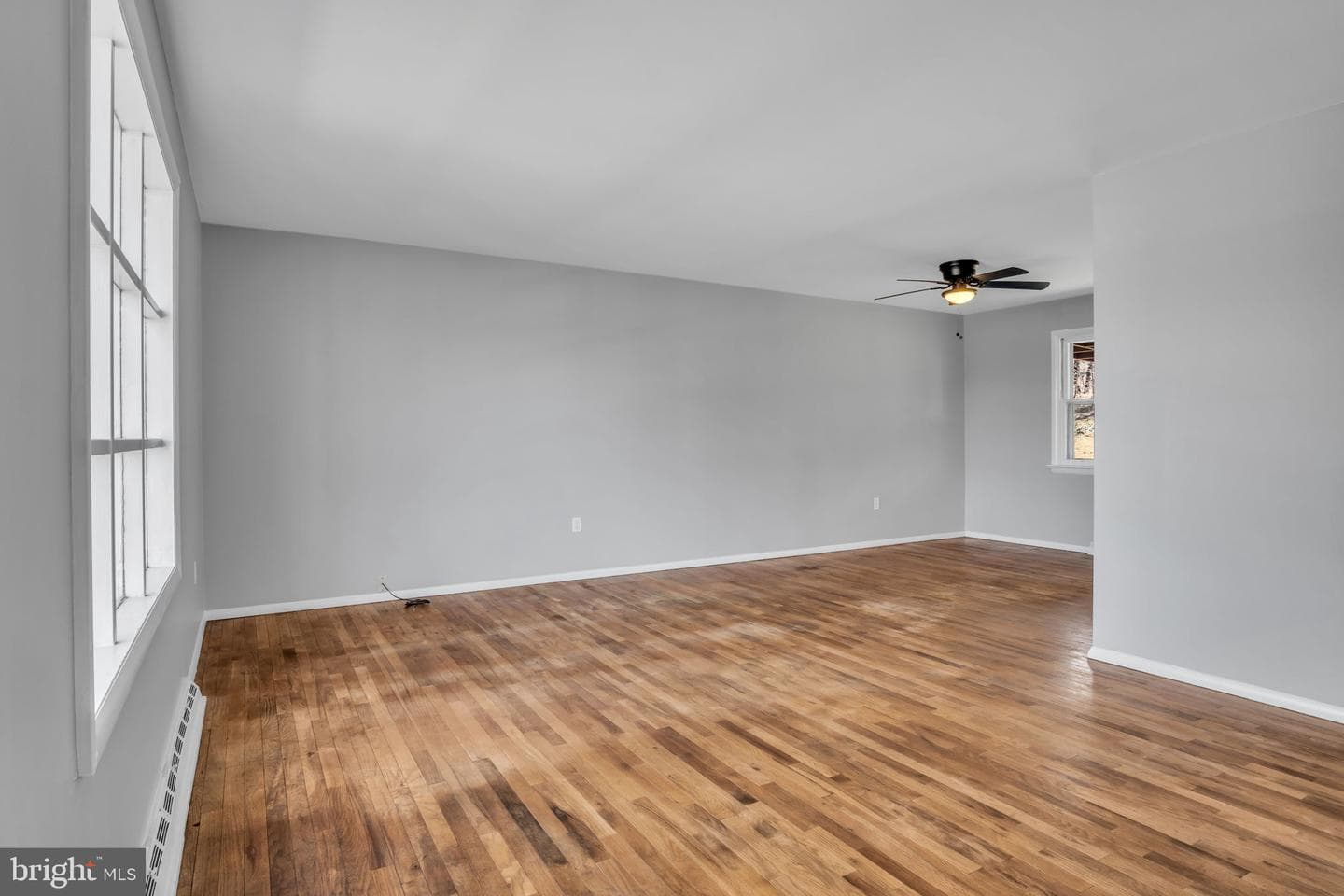 430 Lemon Street photo 5