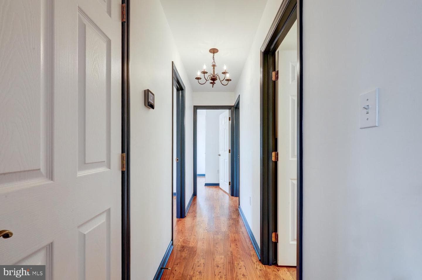 57 Carriage Drive photo 21
