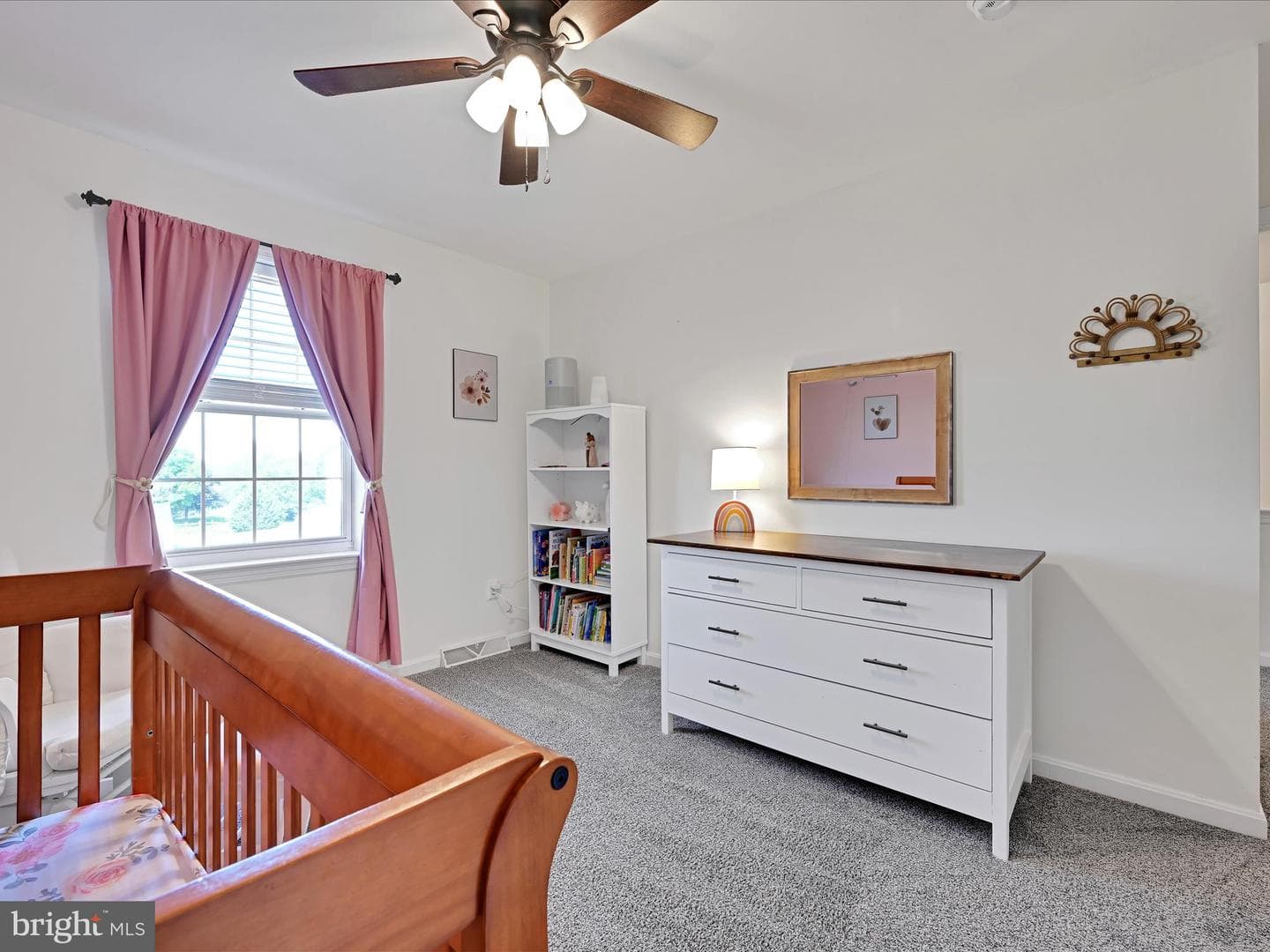 43 Evans Drive photo 22