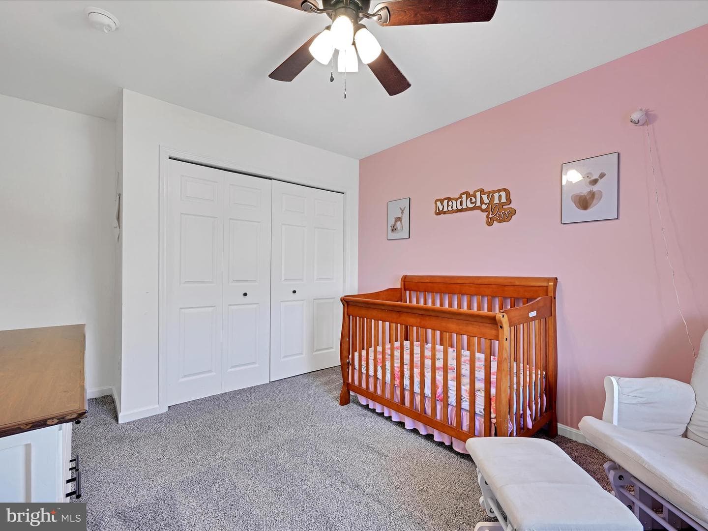 43 Evans Drive photo 23