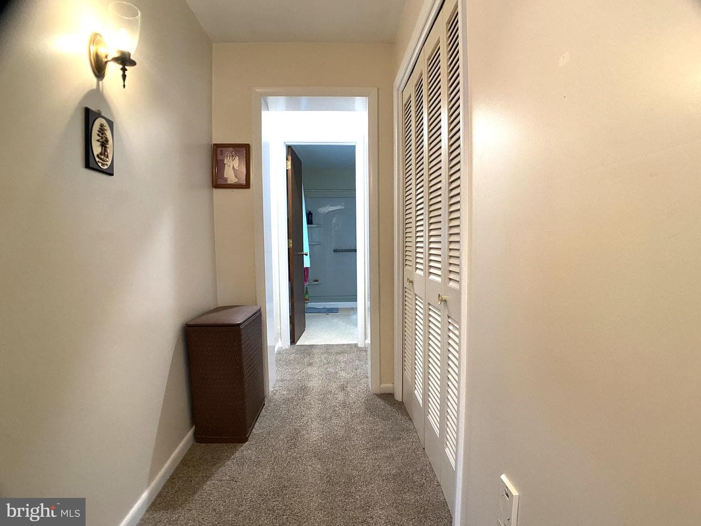 12 Rees Drive photo 15