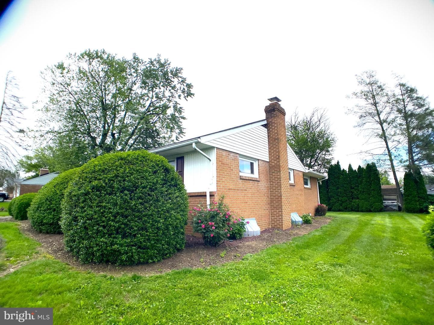12 Rees Drive photo 4