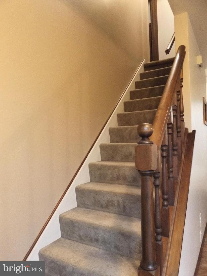 67 Angela Drive photo 25