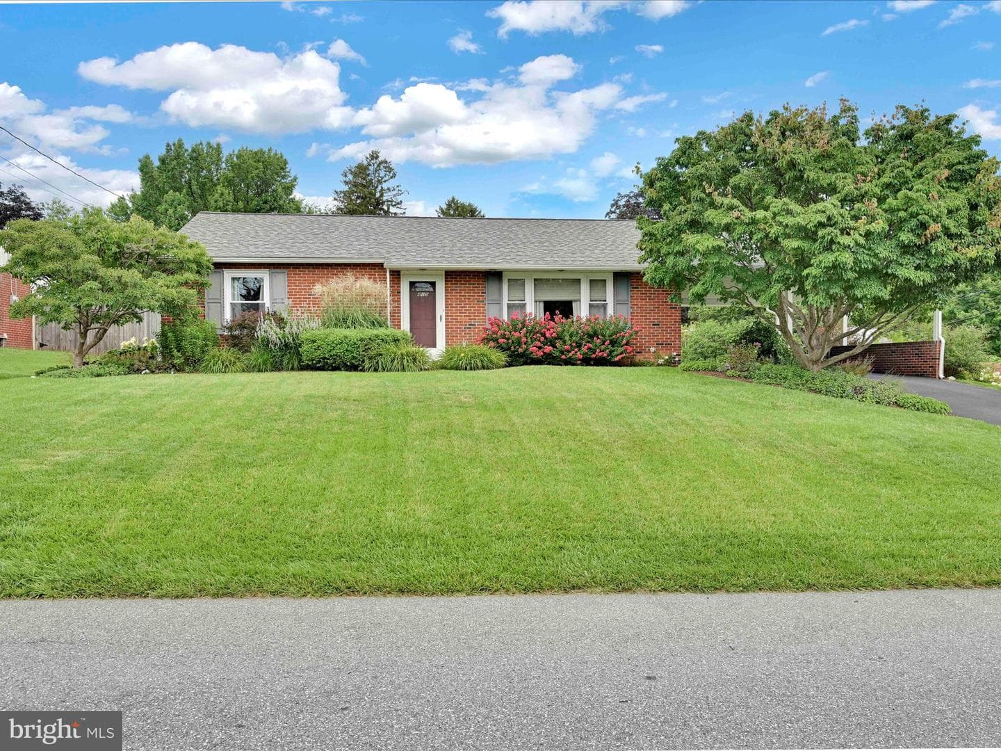 415 Redwood Drive photo 3