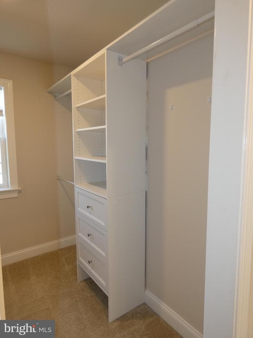 1012 Whitfield Drive photo 19