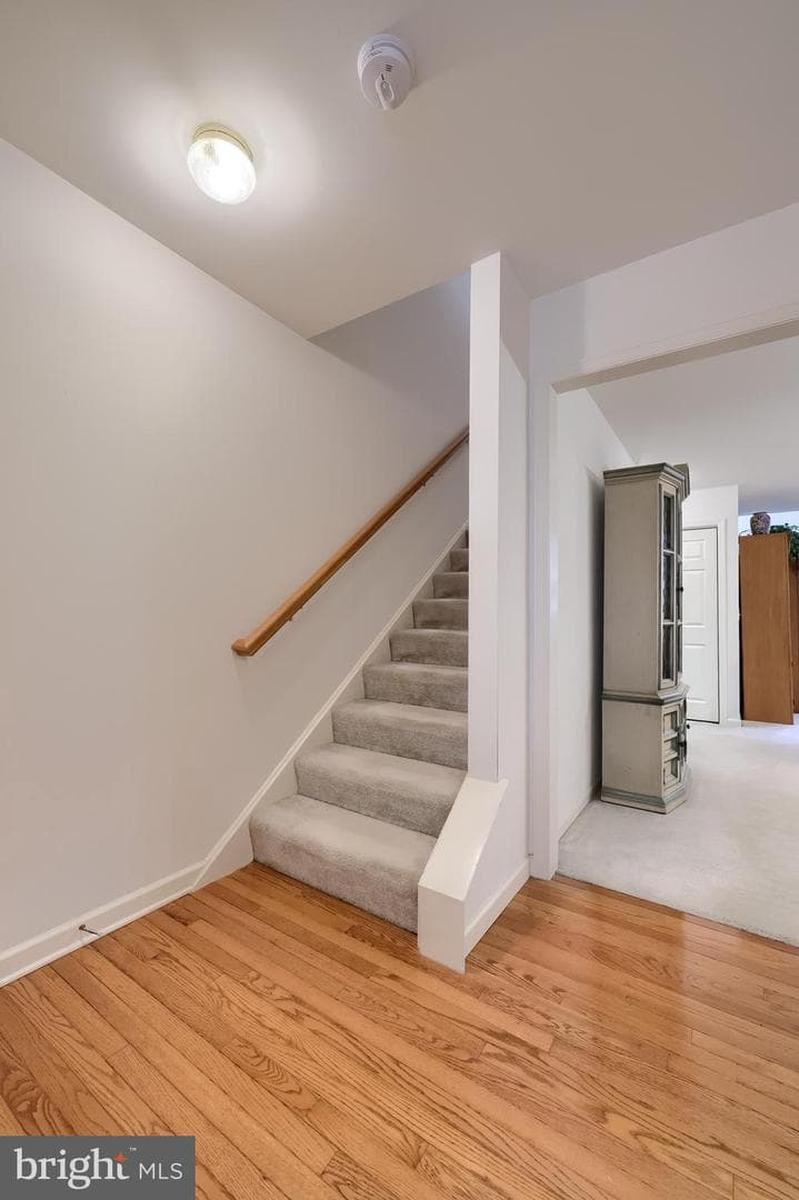 104 Rutledge Avenue photo 10