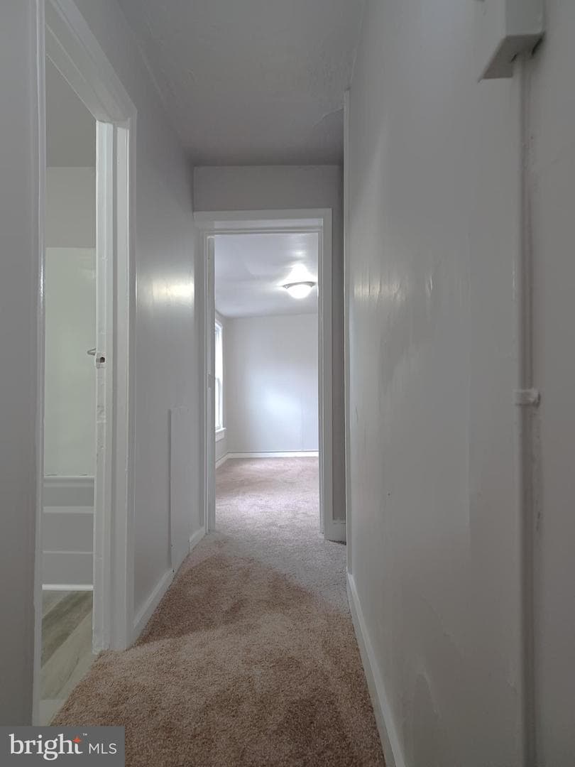 539 Green Street photo 17
