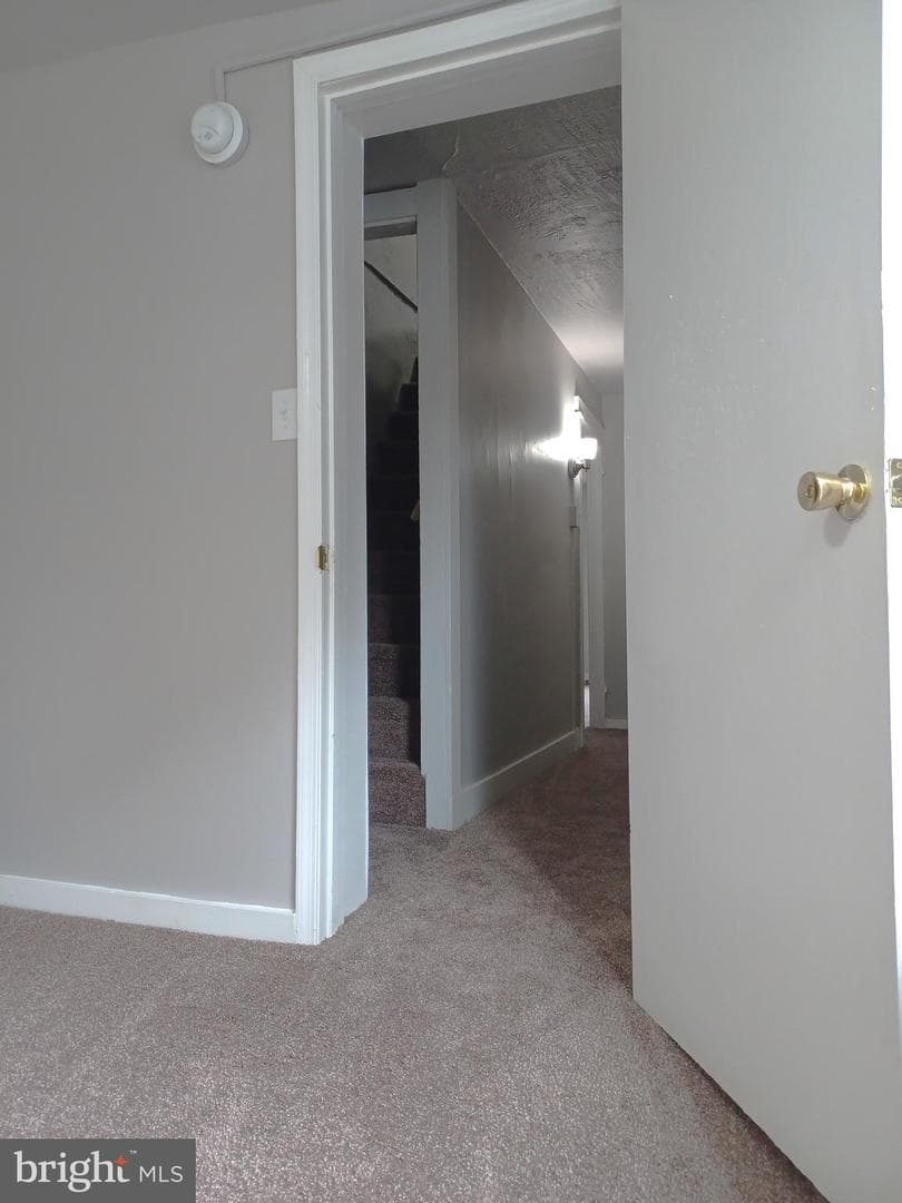 539 Green Street photo 22