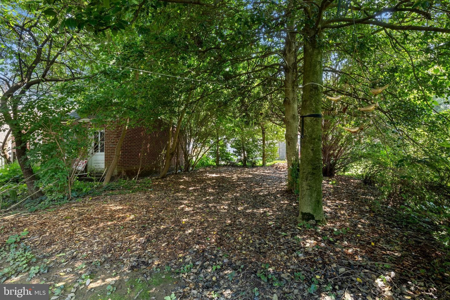 1188 Maple Avenue photo 27