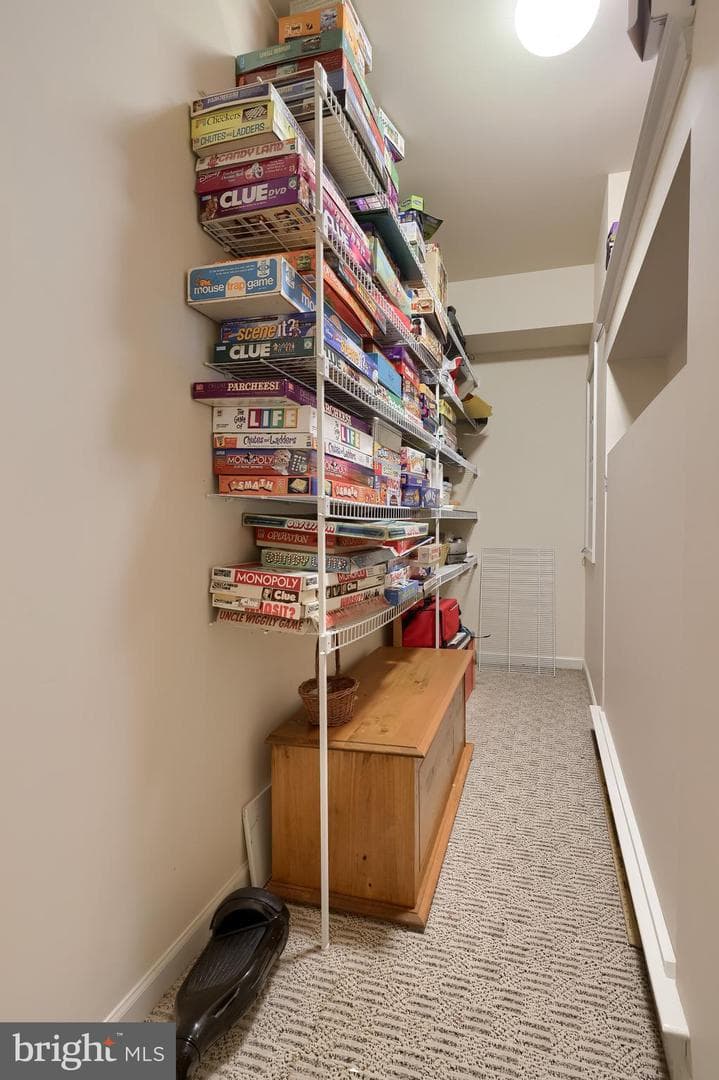 126 Glebe Lane photo 61