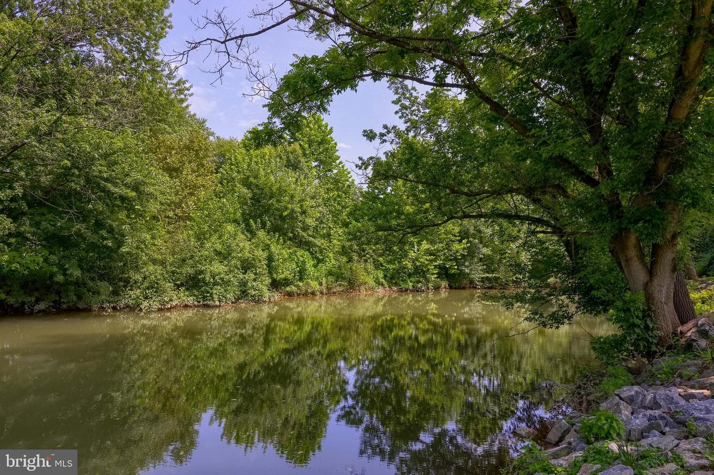 161 Strasburg Pike photo 38