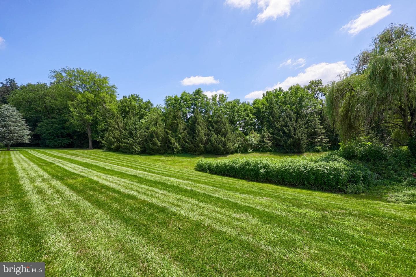 1834 Serene Way photo 44