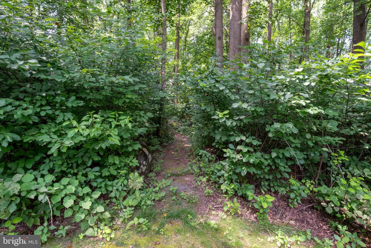6206 Poplar Path photo 70