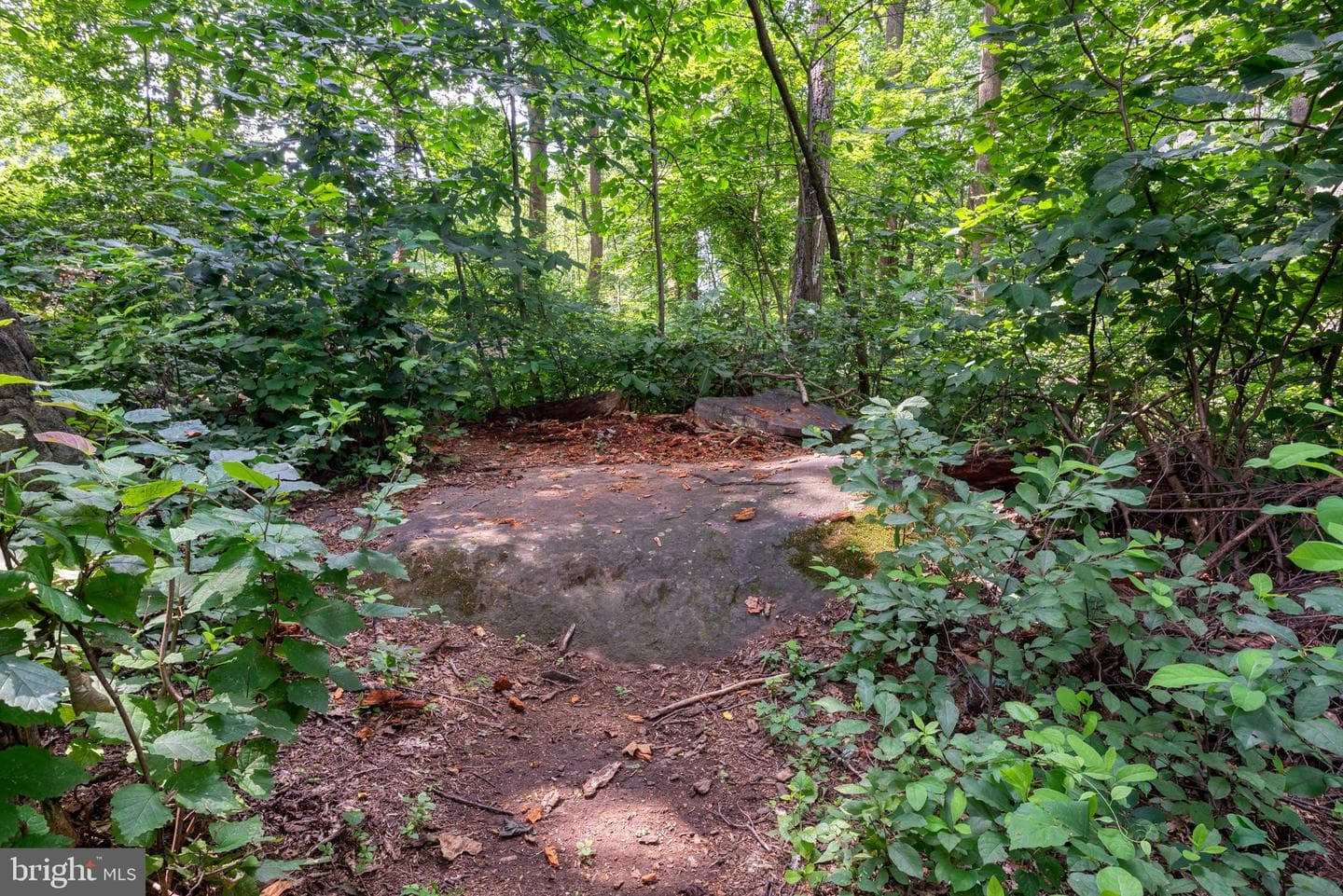 6206 Poplar Path photo 71