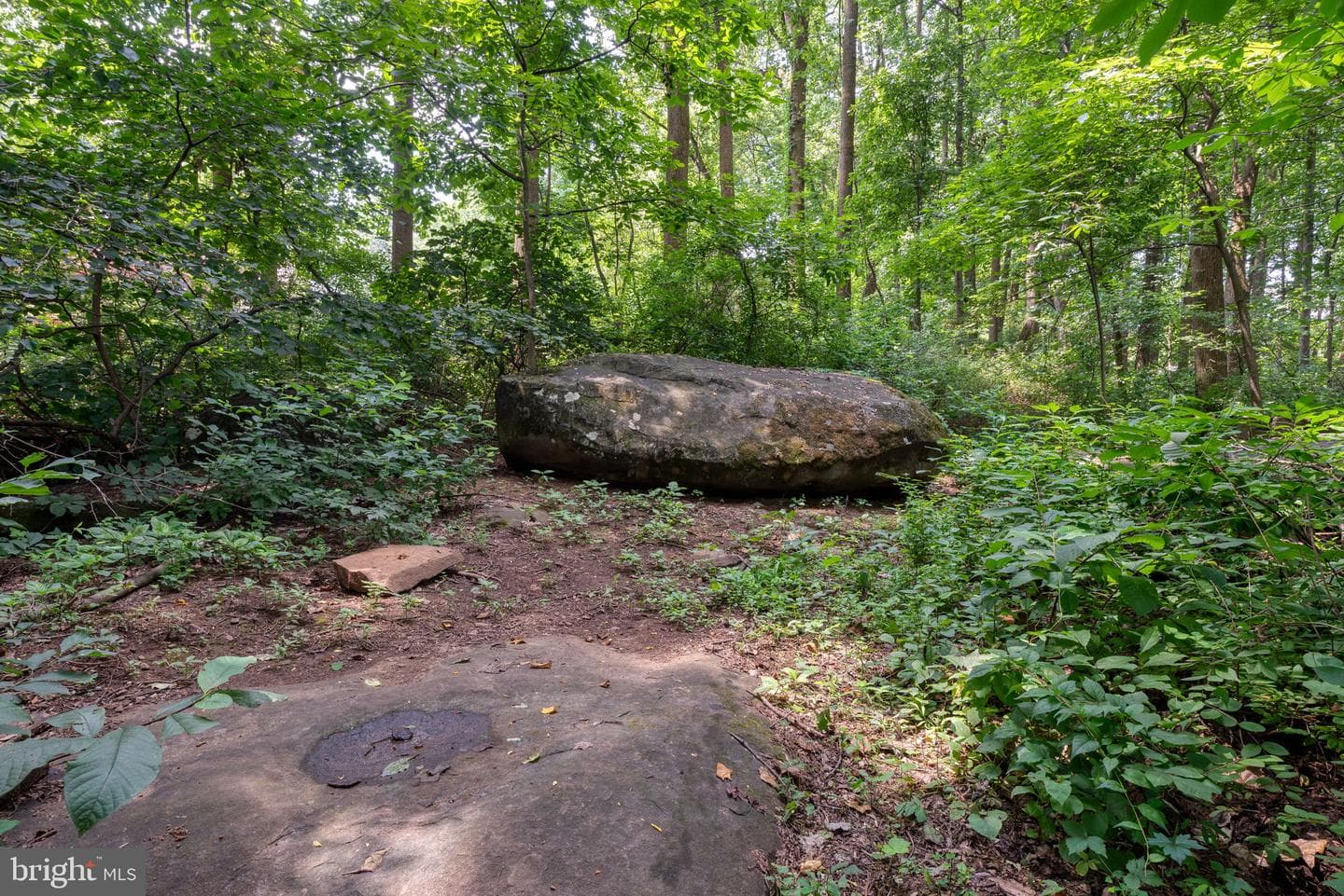 6206 Poplar Path photo 73