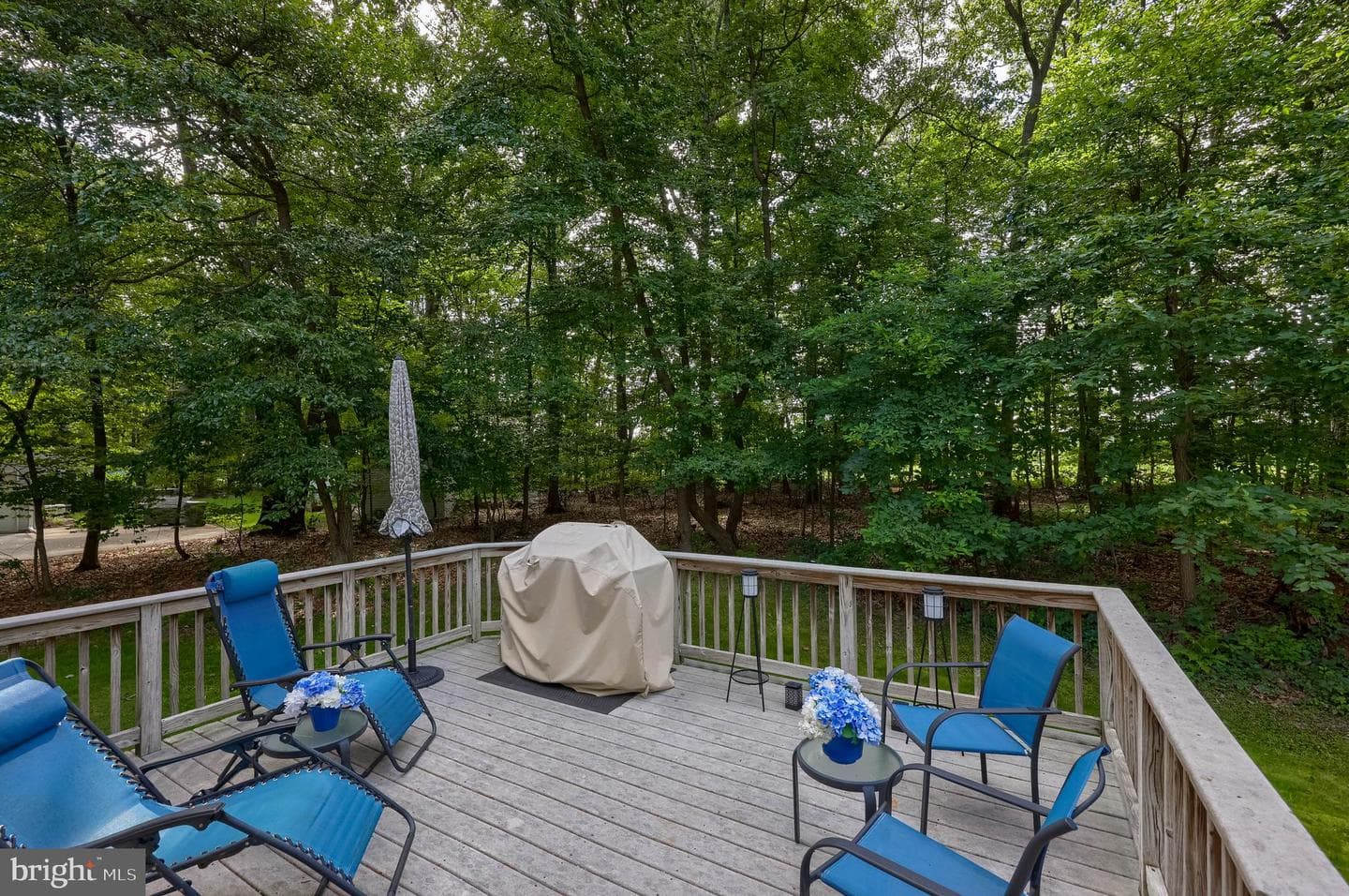71 Deerfield Drive photo 51