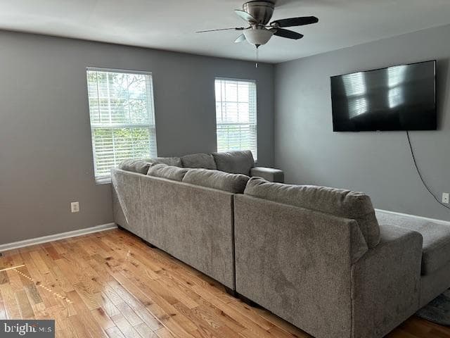407 Dickens Drive photo 3