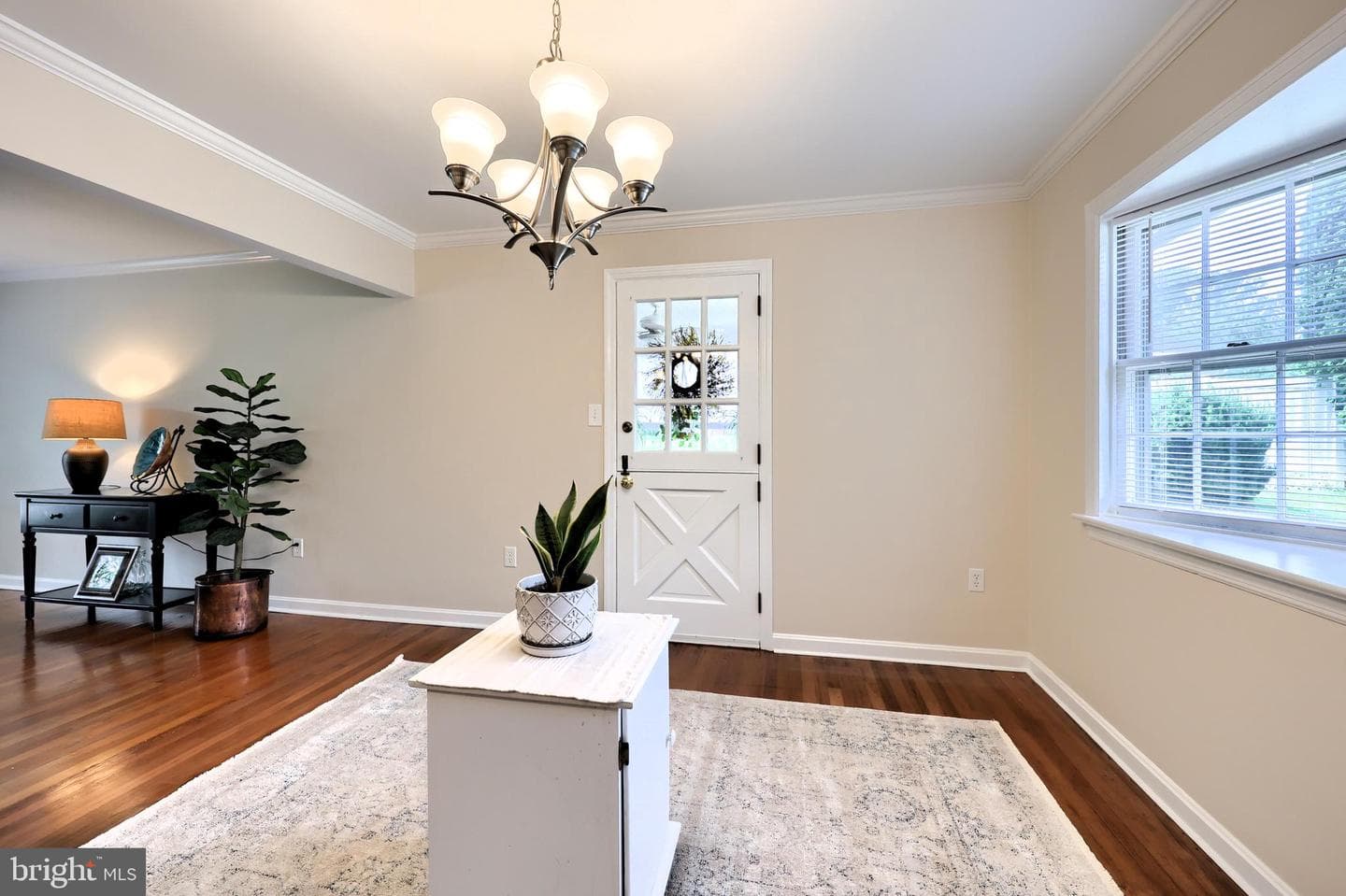 1403 Carlton Drive photo 36