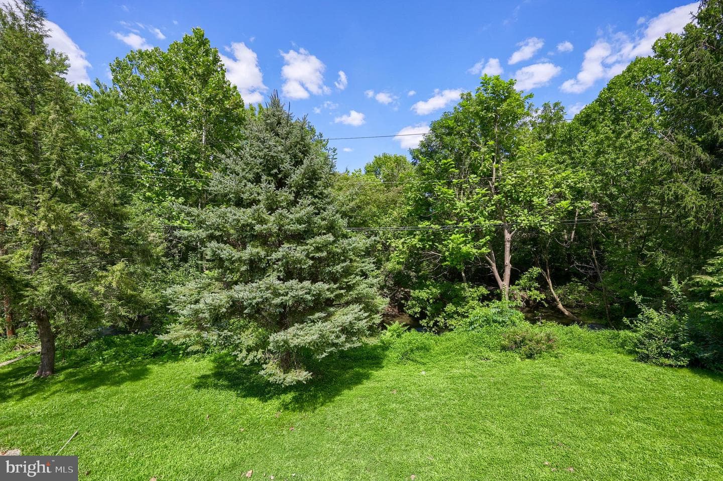 1075 Richmond Road photo 46