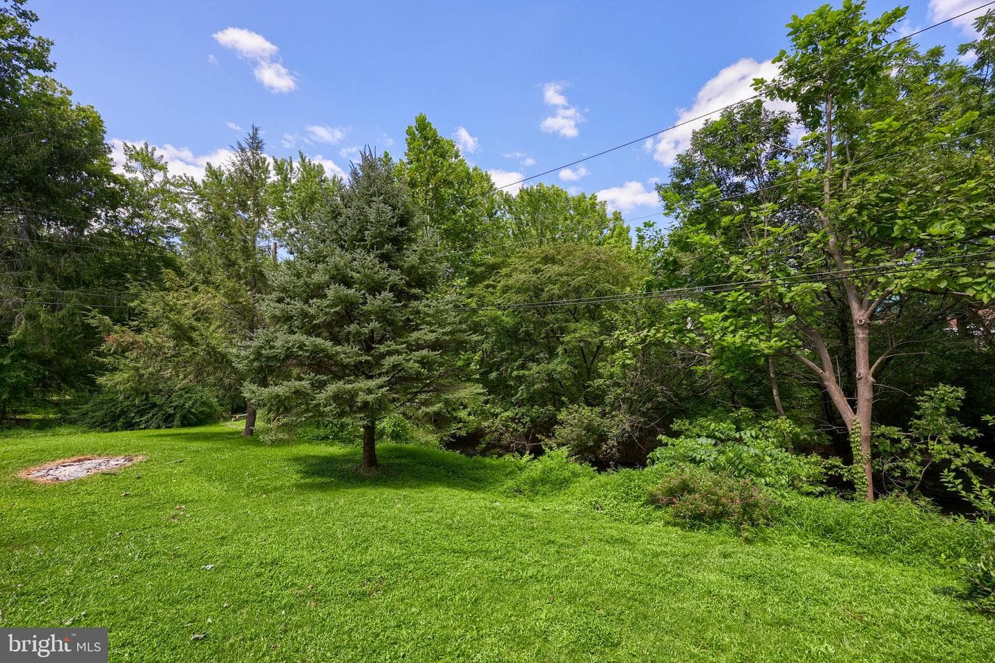 1075 Richmond Road photo 60
