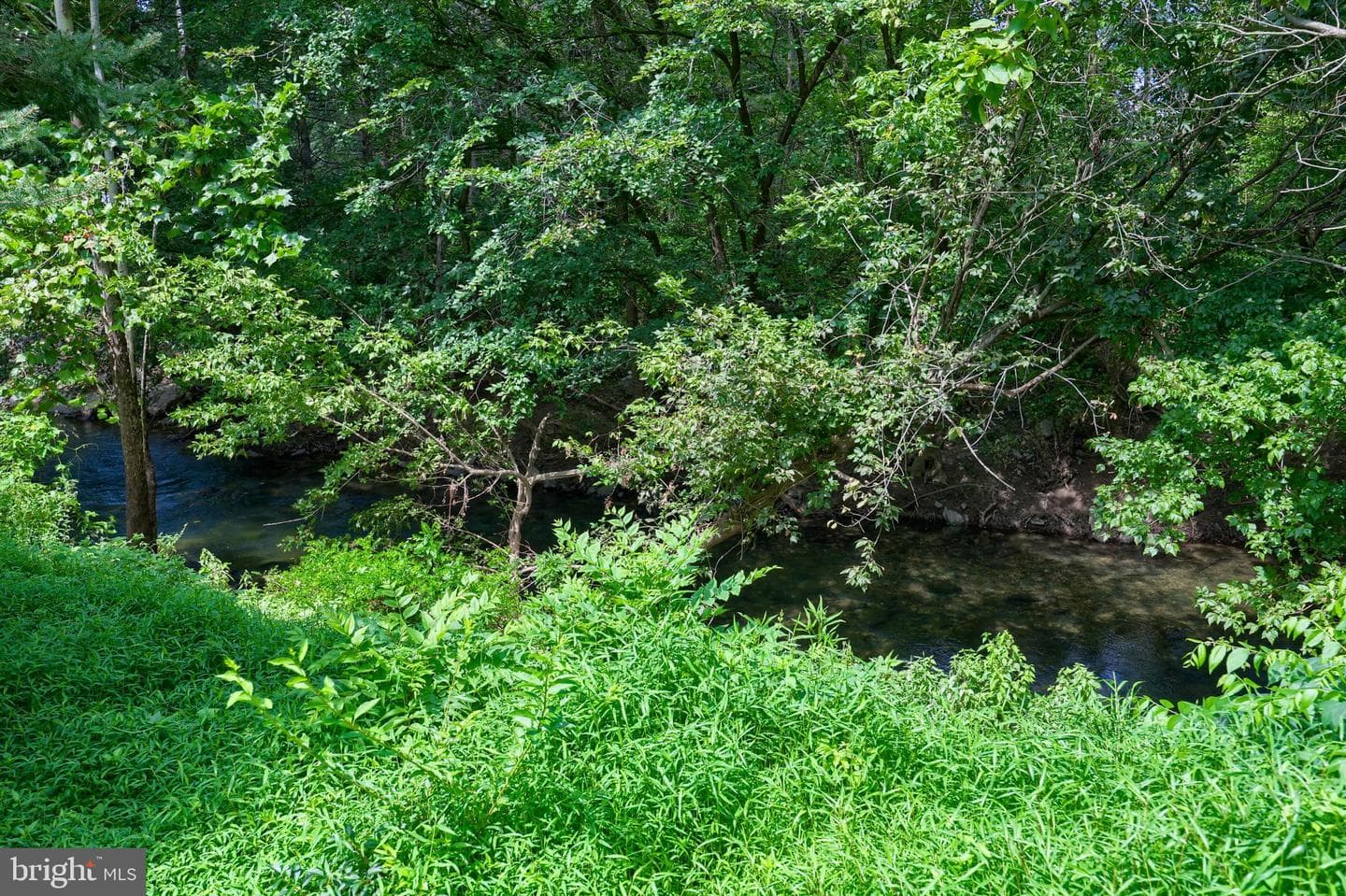 1075 Richmond Road photo 62