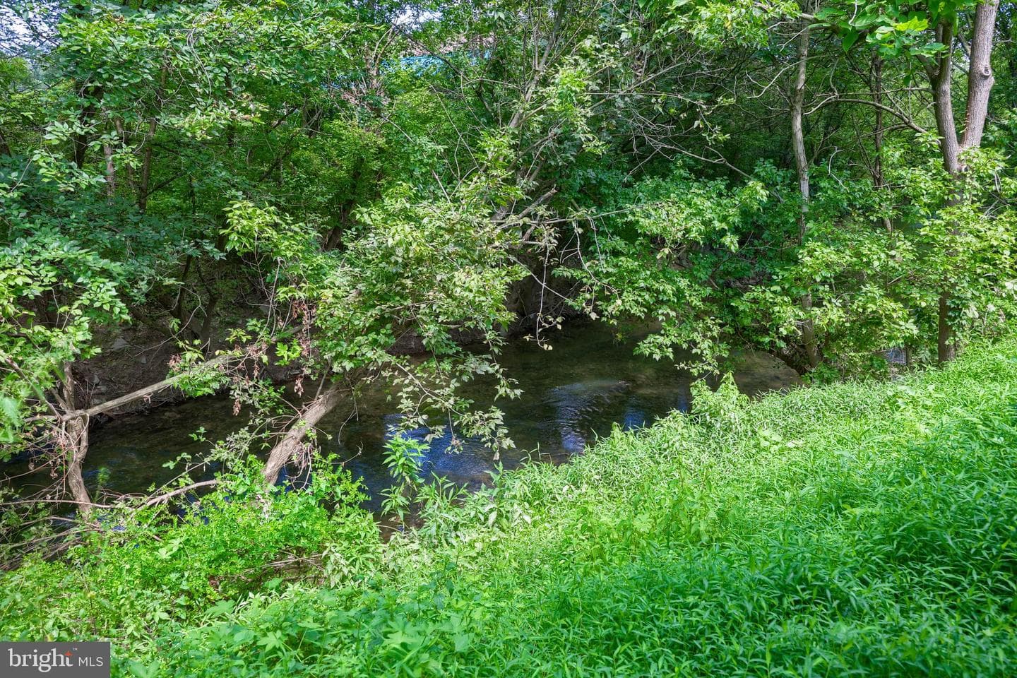 1075 Richmond Road photo 63