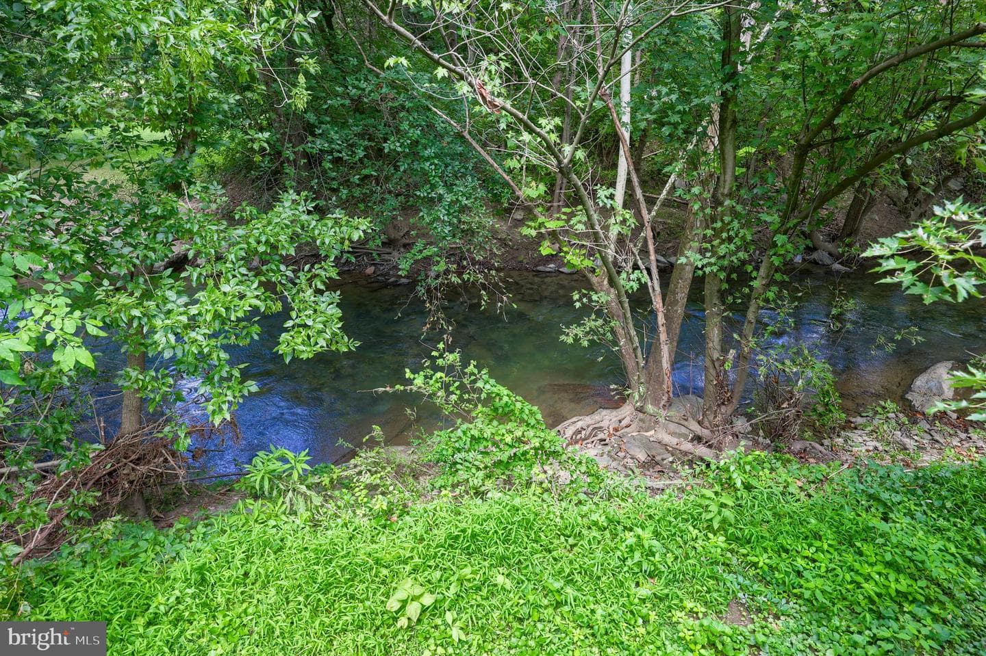 1075 Richmond Road photo 64