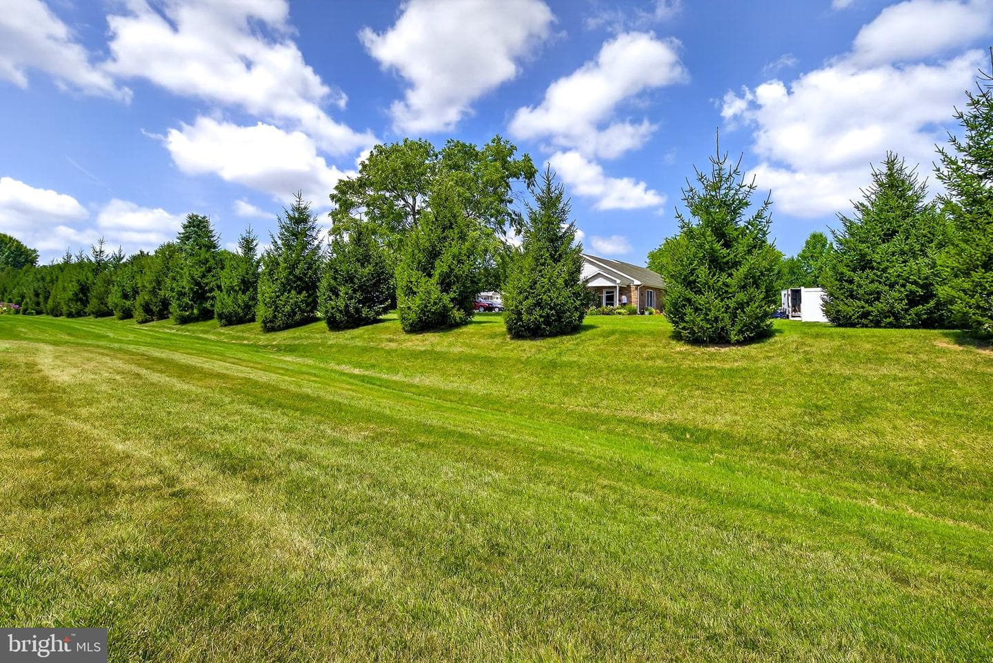 349 Pin Oak Drive photo 41