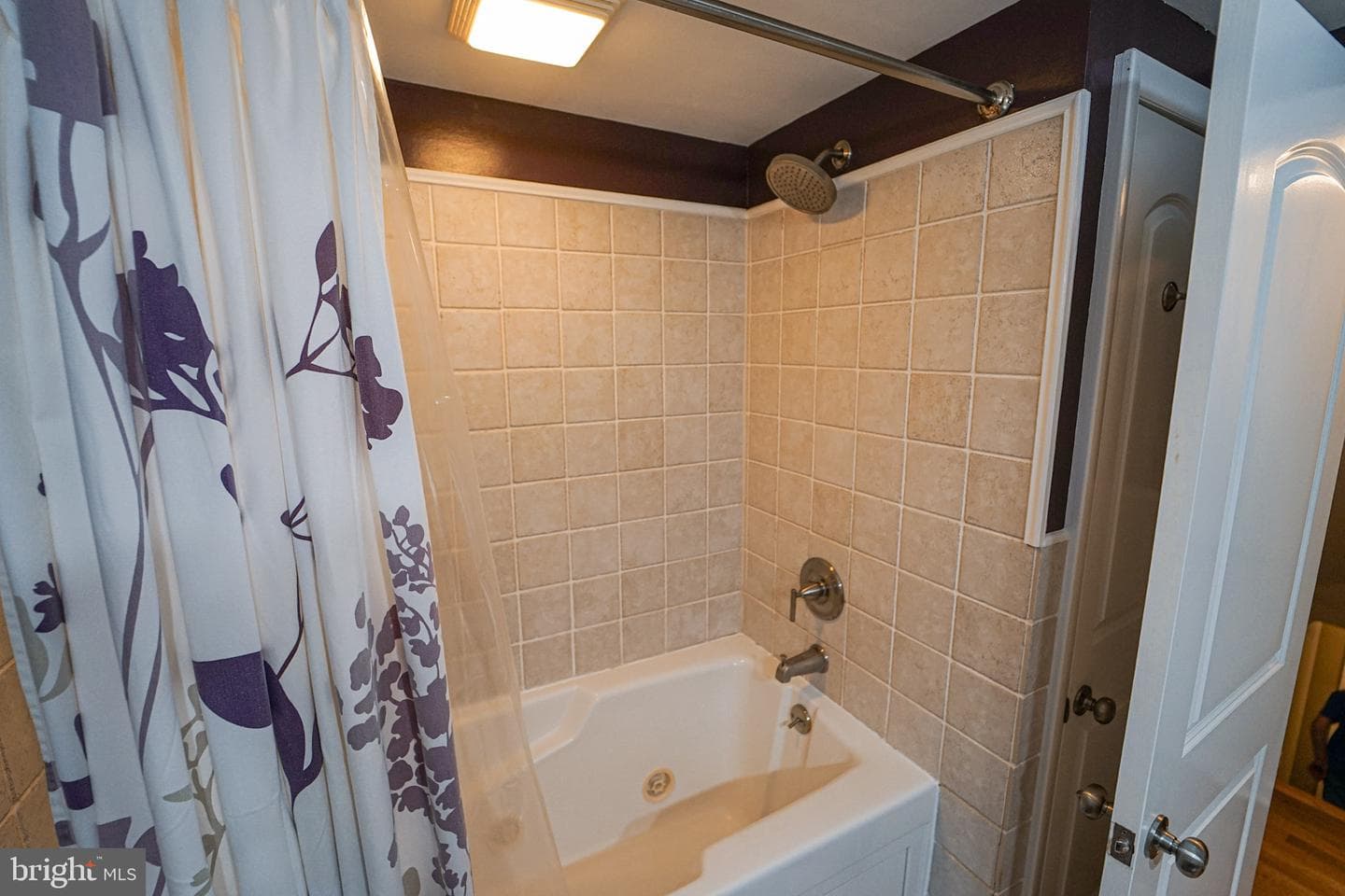 831 Park Hill Drive photo 18
