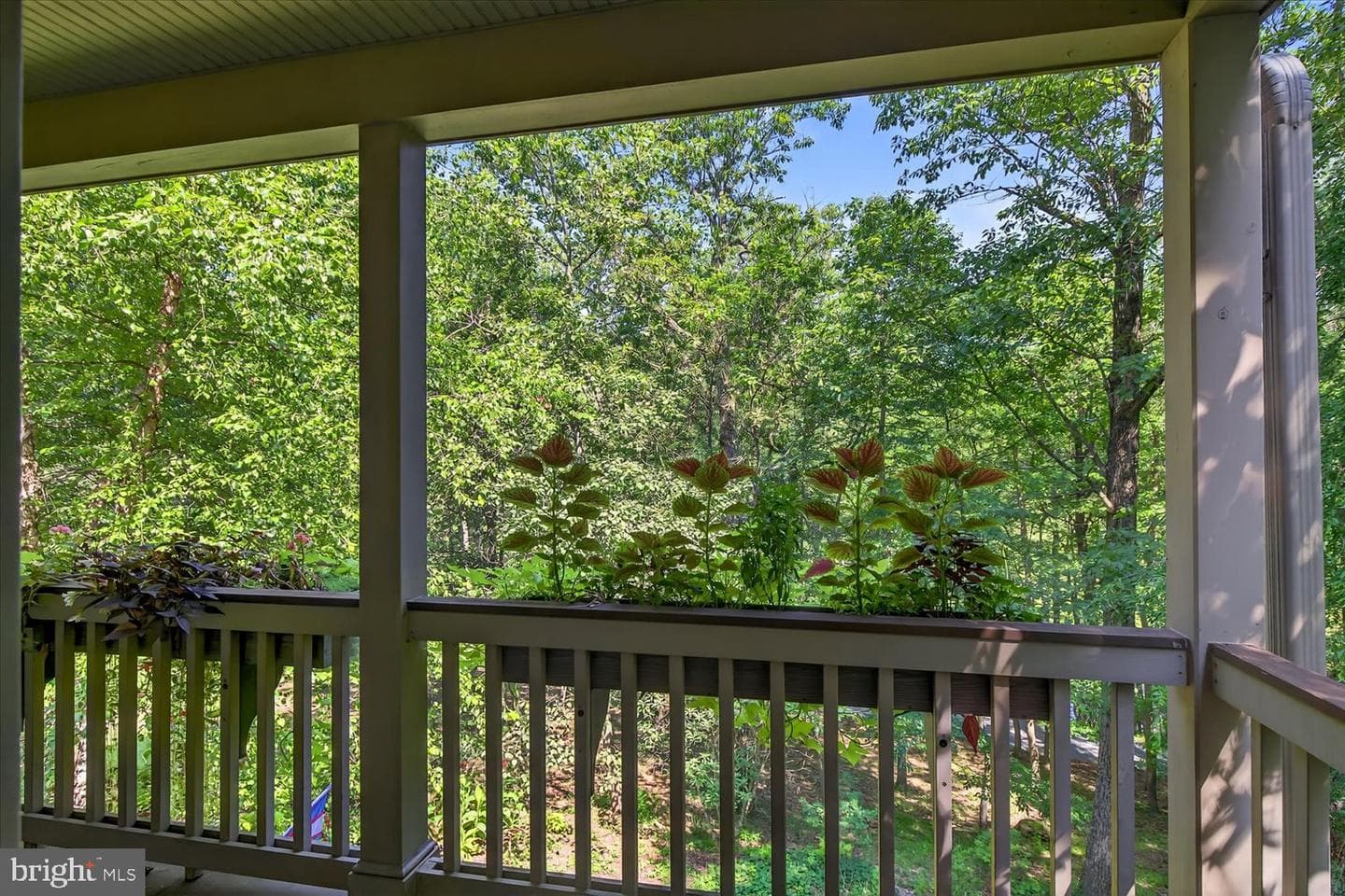 815 Laurel Ridge Road photo 71