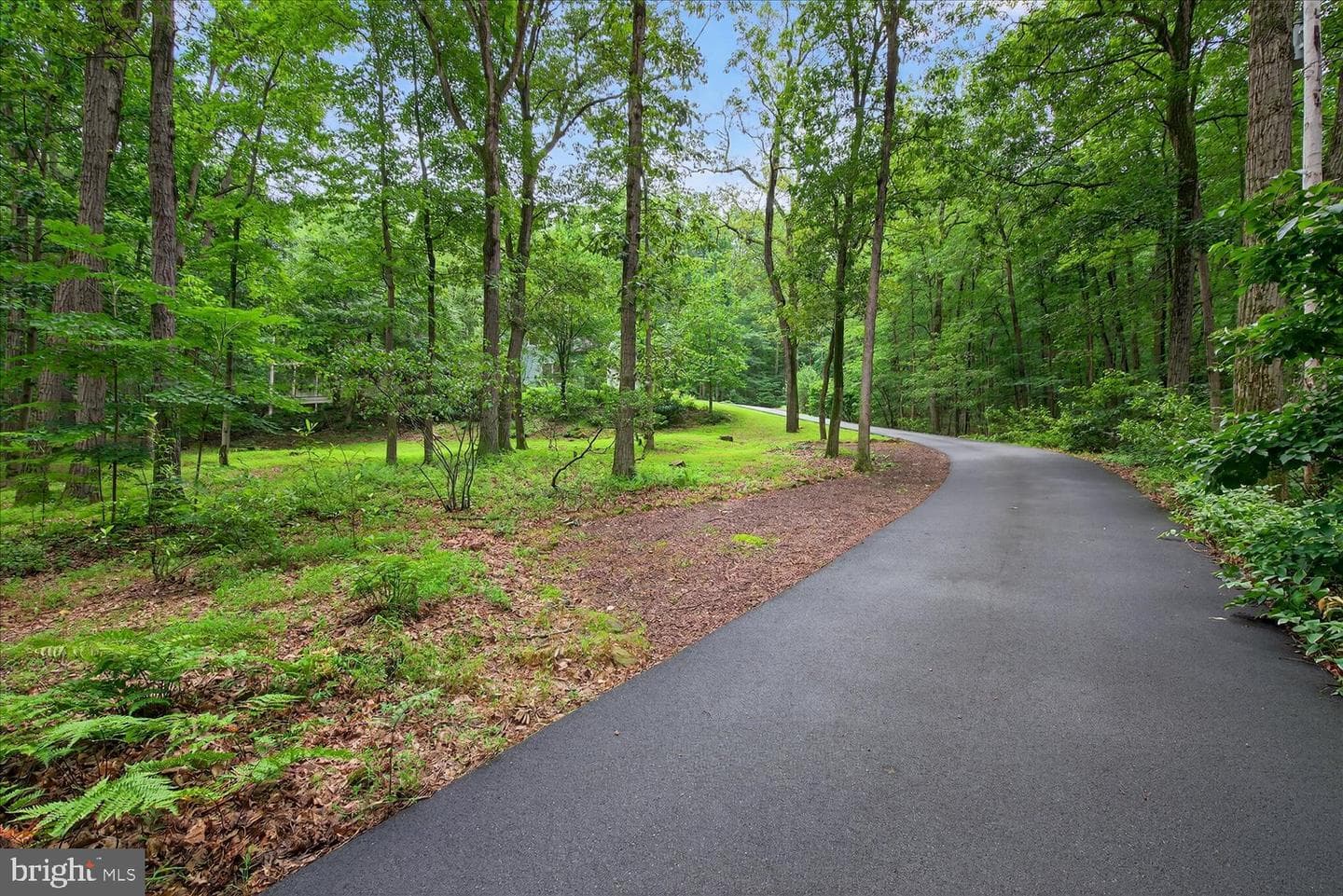 815 Laurel Ridge Road photo 82