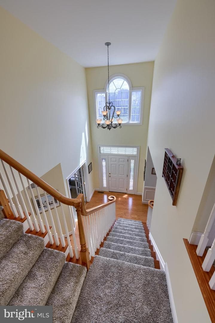 391 Ecker Drive photo 35