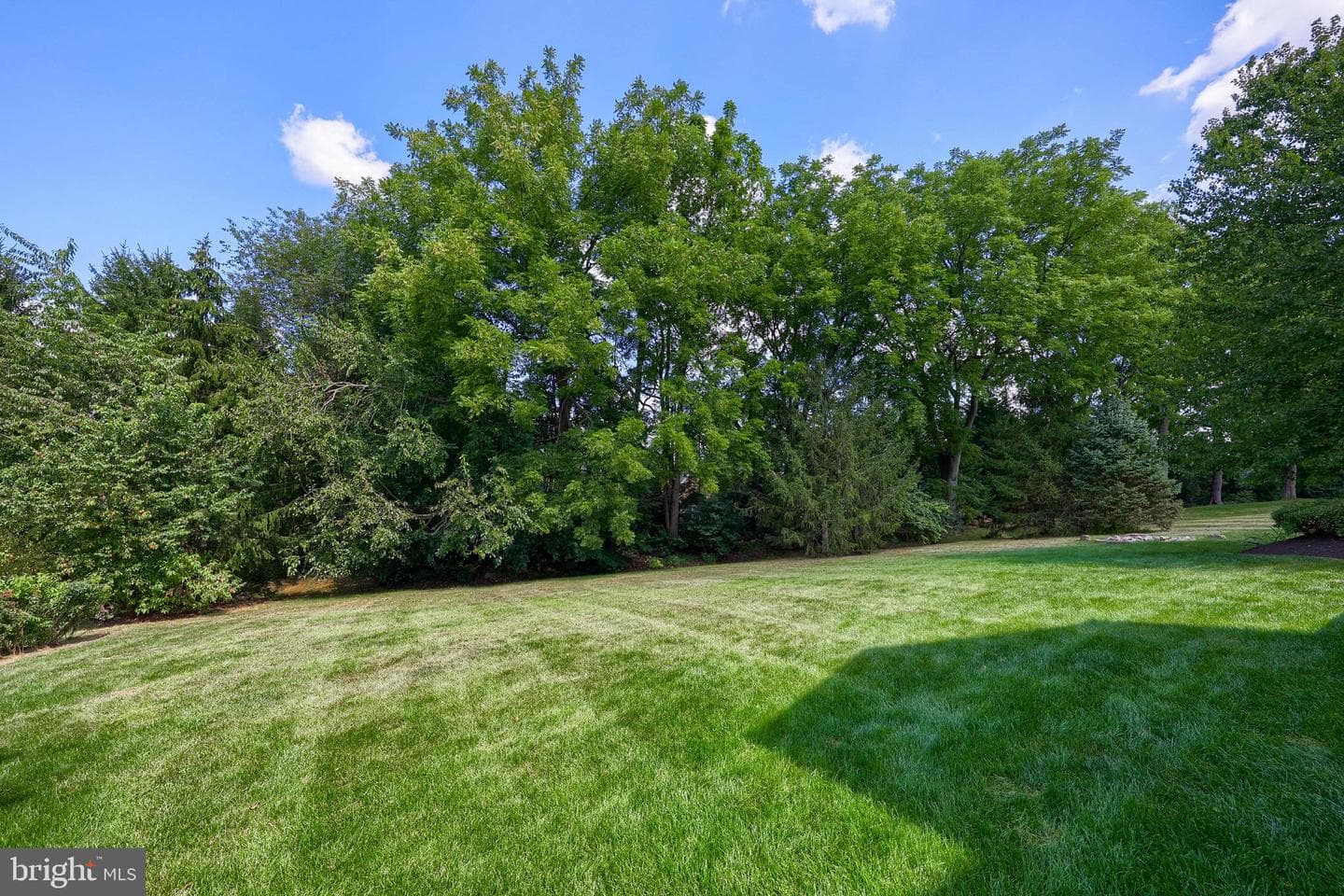 391 Ecker Drive photo 78