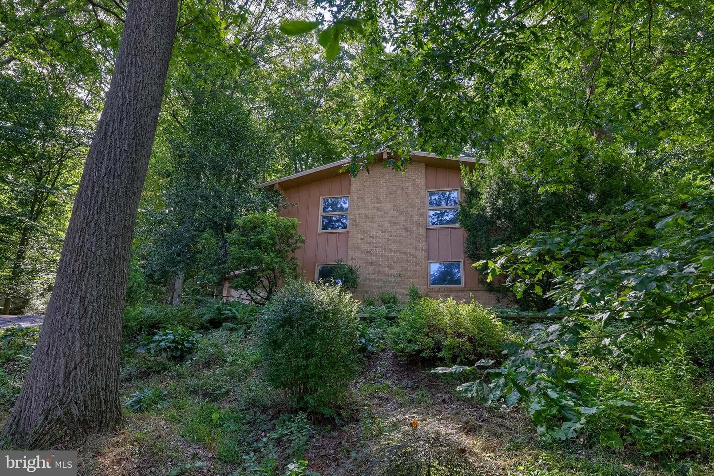 2778 Spring Valley Road photo 4