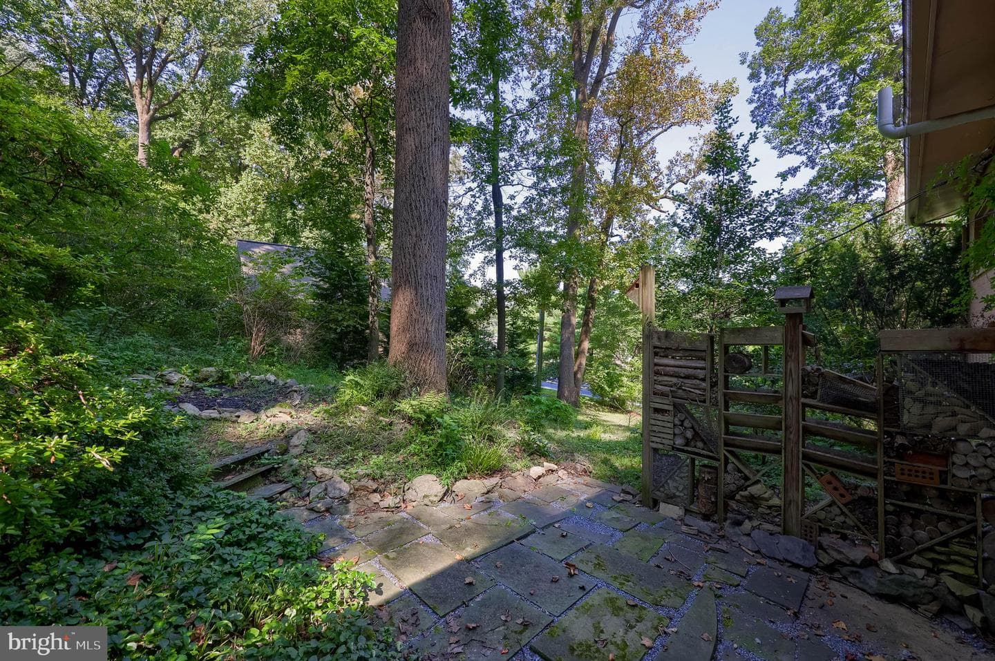 2778 Spring Valley Road photo 54