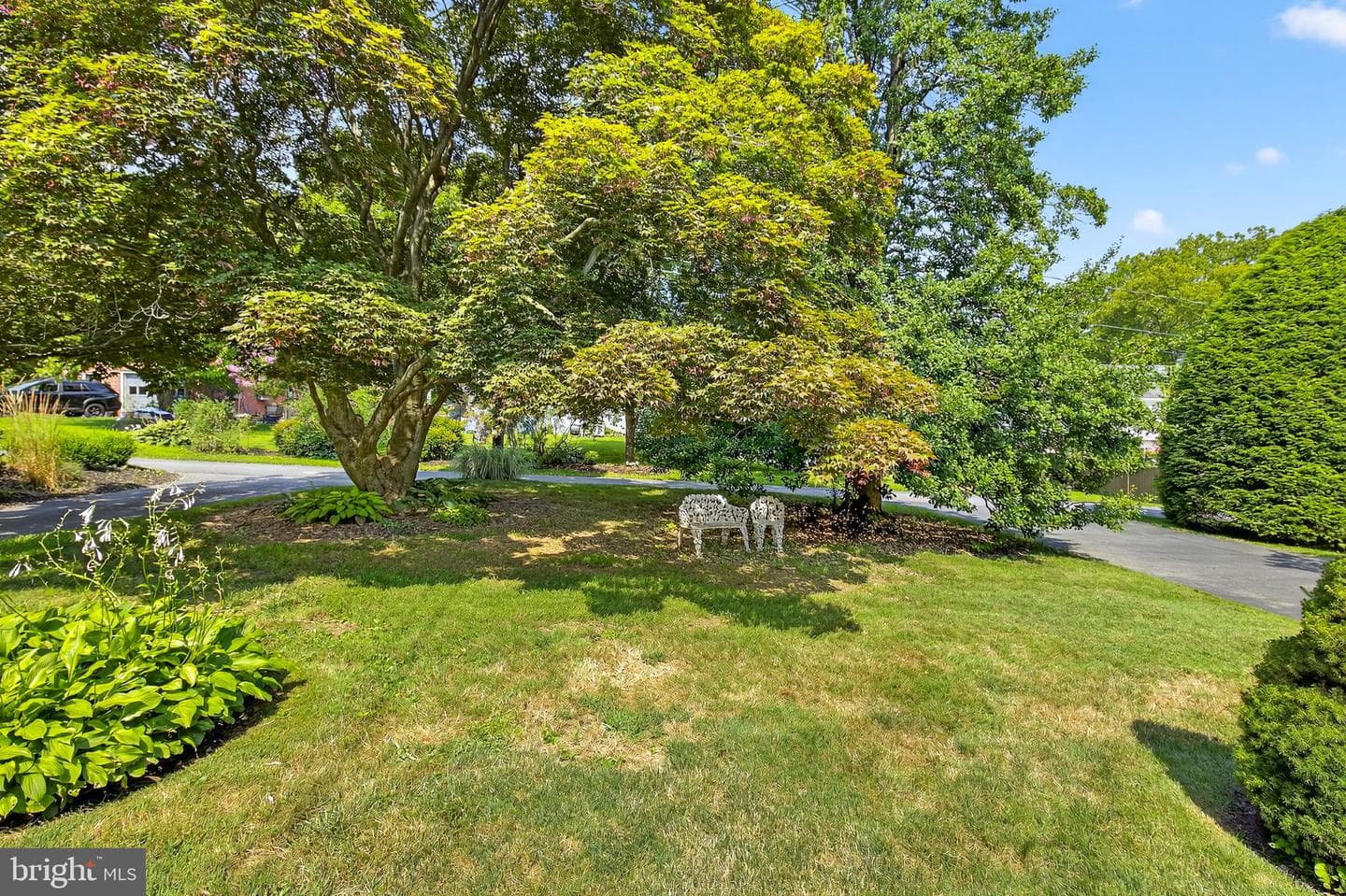 338 Atkins Avenue photo 38