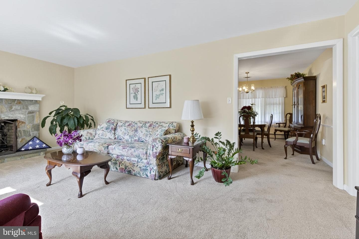 338 Atkins Avenue photo 6