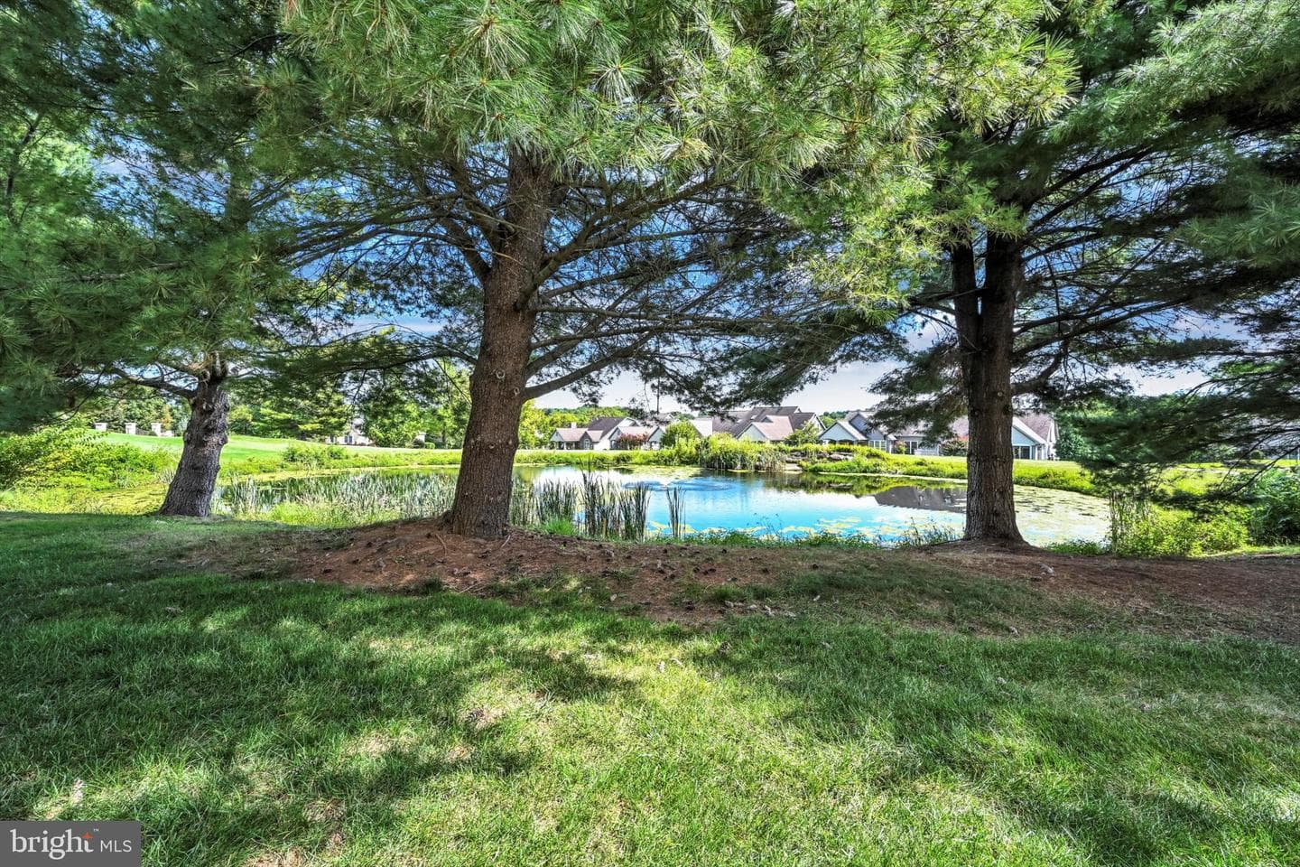 916 Rivergate Court photo 4