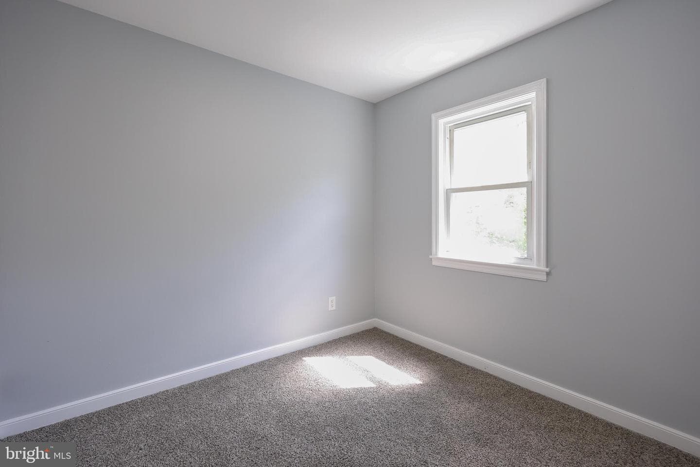 335 Lincoln Avenue photo 22