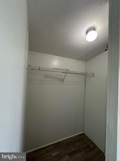 556 Holly Drive photo 13