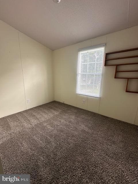 556 Holly Drive photo 19