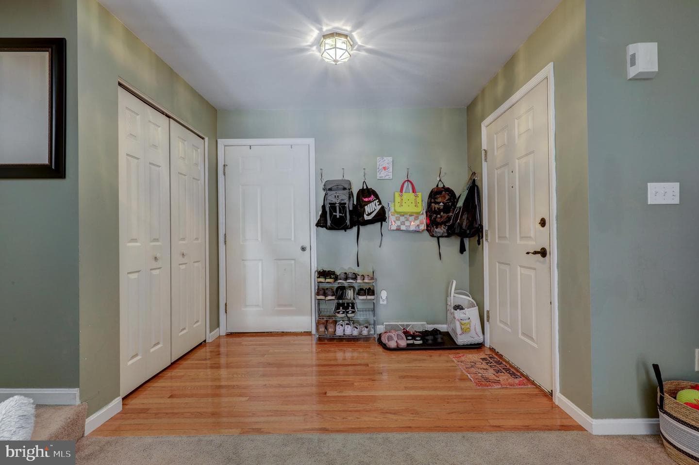 51 Evans Drive photo 5