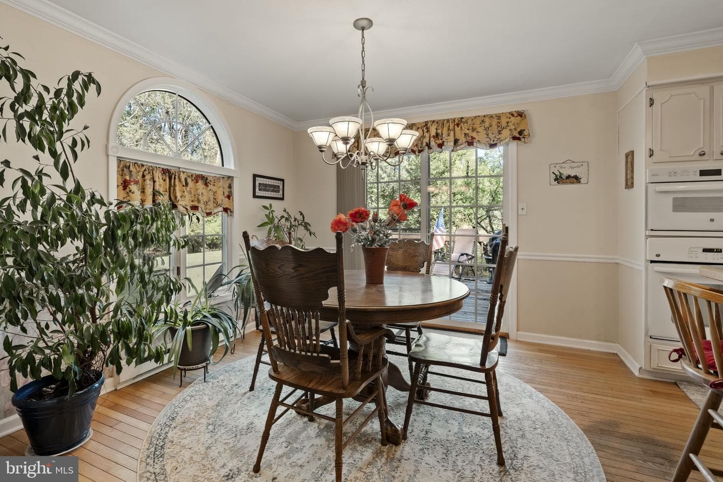 61 Cambridge Drive photo 11