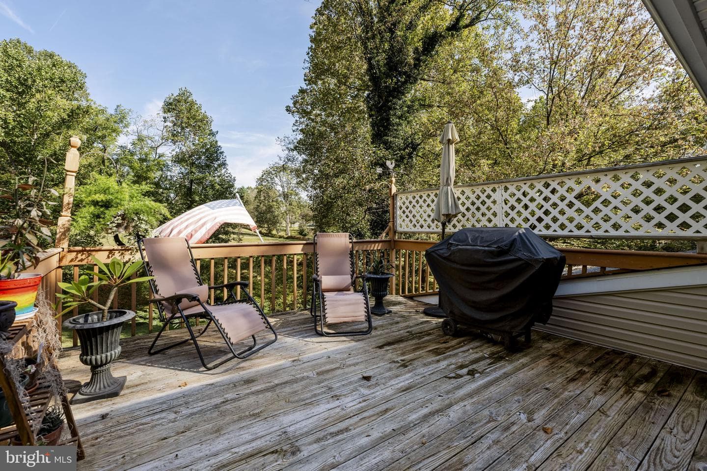 61 Cambridge Drive photo 39