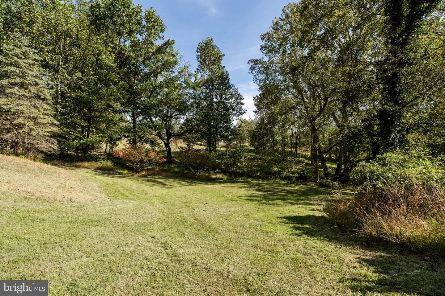61 Cambridge Drive photo 41