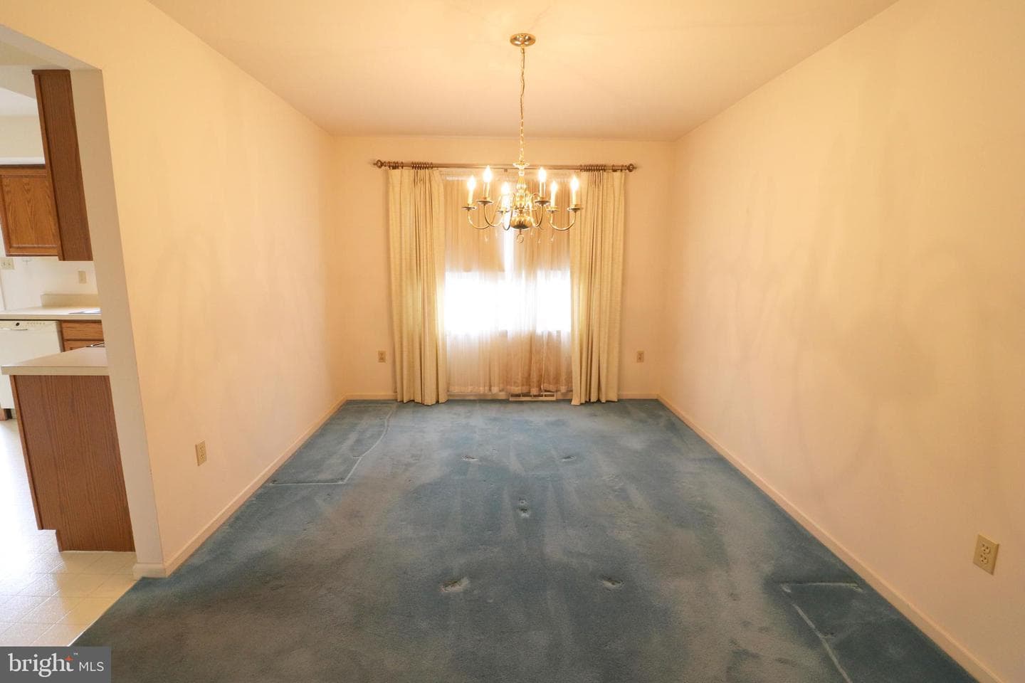 9 Hawthorne Drive photo 14