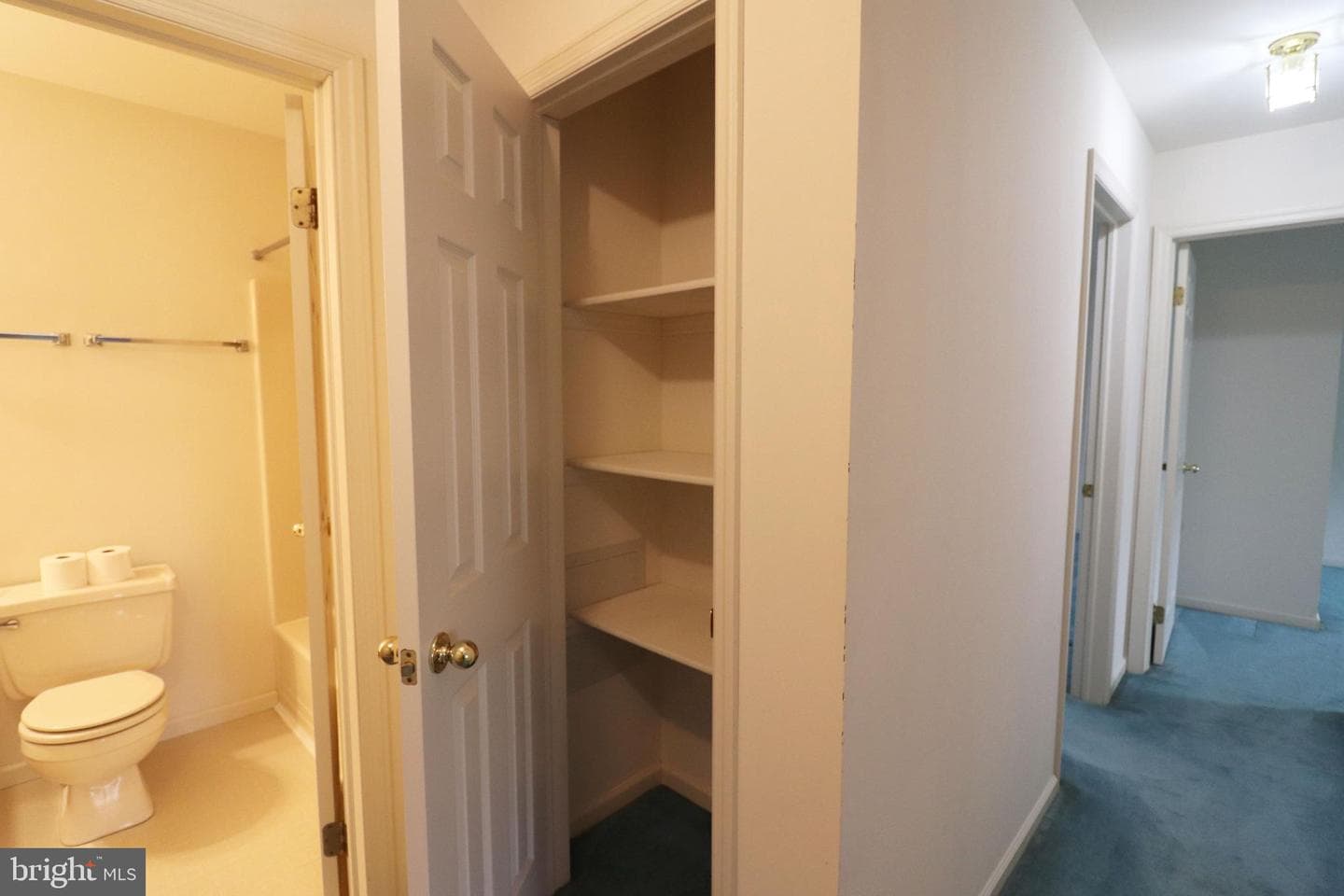 9 Hawthorne Drive photo 22