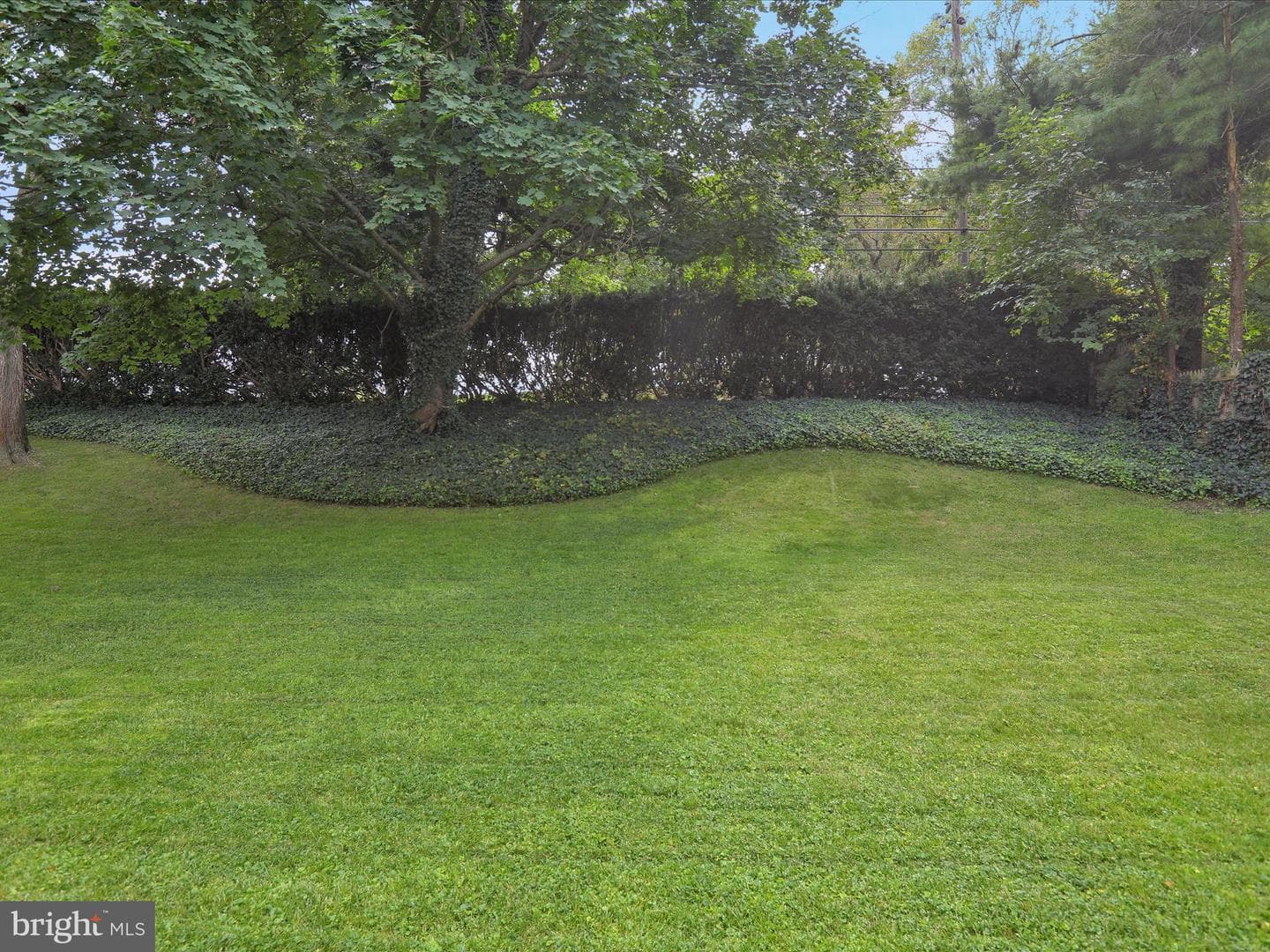 1266 Wilson Avenue photo 35
