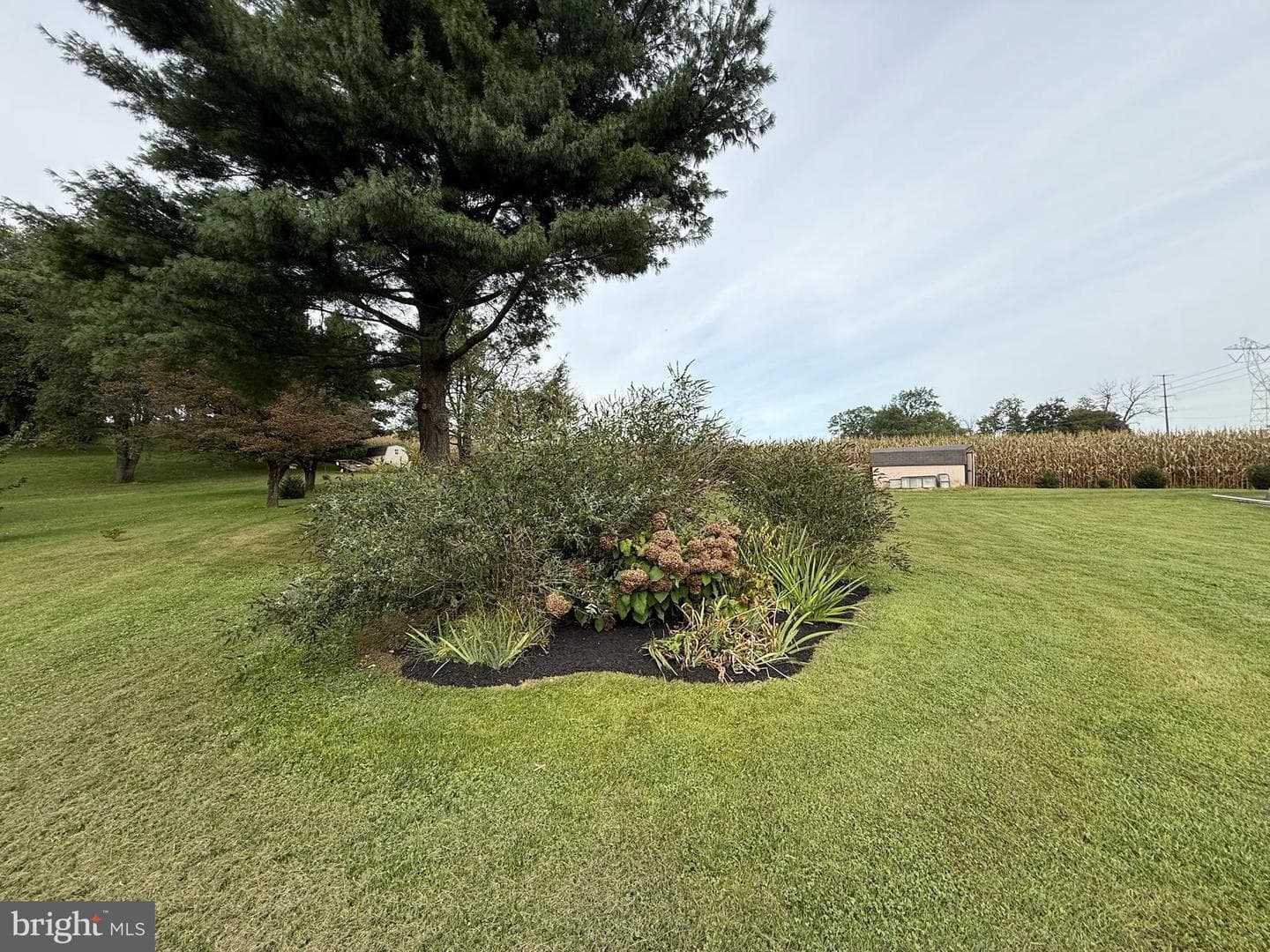 440 Scotland Road photo 34